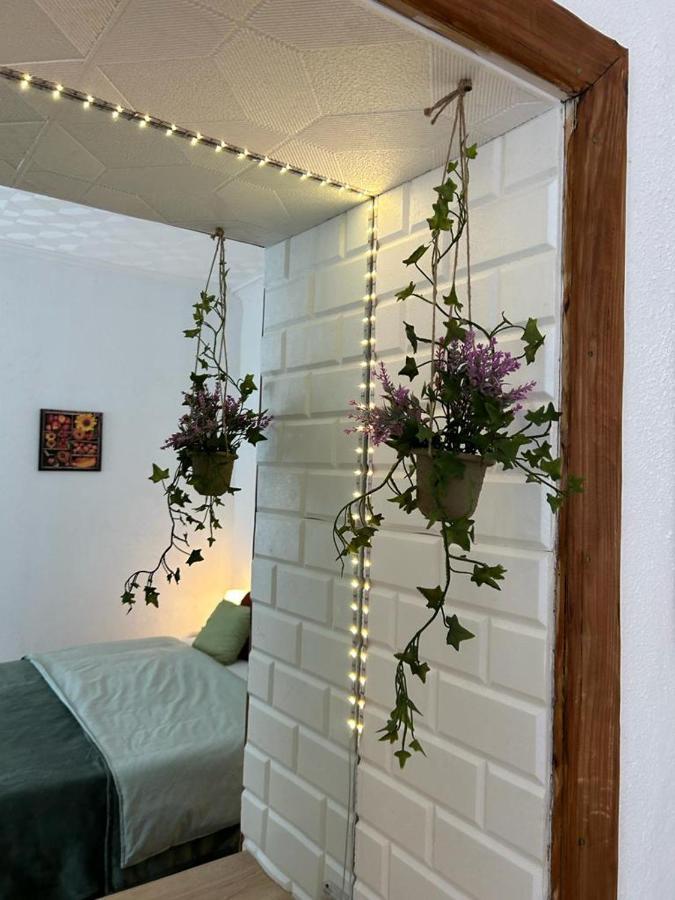 Guest House Rusu บราชอฟ ภายนอก รูปภาพ